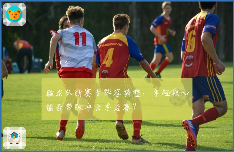 猛龙队新赛季阵容调整，年轻核心能否带队冲击季后赛？