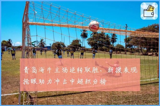 青岛海牛主场逆转取胜，新援表现抢眼助力冲击中超积分榜