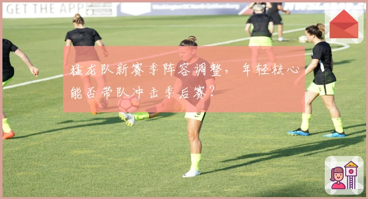 猛龙队新赛季阵容调整，年轻核心能否带队冲击季后赛？